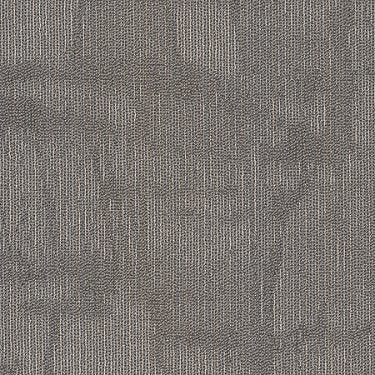 Chiseled Commercial Carpet by Philadelphia Commercial in the color Shape. Sample of grays carpet pattern and texture.