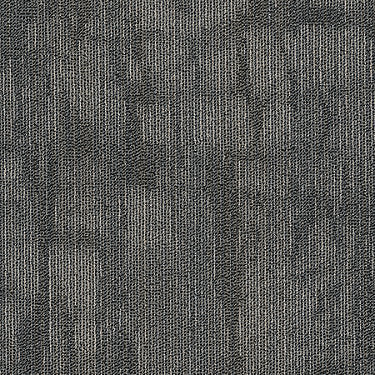 Chiseled Commercial Carpet by Philadelphia Commercial in the color Model. Sample of grays carpet pattern and texture.