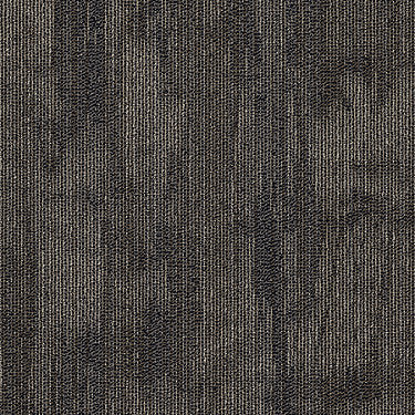 Chiseled Commercial Carpet by Philadelphia Commercial in the color Form. Sample of browns carpet pattern and texture.