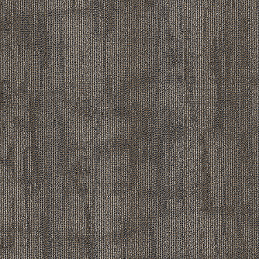 Crackled Commercial Carpet by Philadelphia Commercial in the color Construct. Sample of browns carpet pattern and texture.