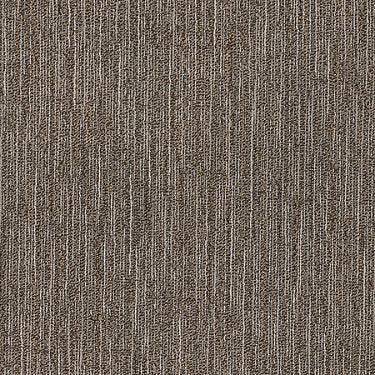 Fractured Commercial Carpet by Philadelphia Commercial in the color Compose. Sample of golds carpet pattern and texture.