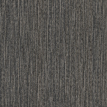 Fractured Commercial Carpet by Philadelphia Commercial in the color Model. Sample of grays carpet pattern and texture.