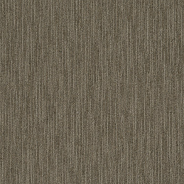 Flattery Commercial Carpet by Philadelphia Commercial in the color Scholarly. Sample of browns carpet pattern and texture.