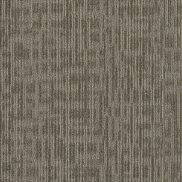 Kudos Commercial Carpet by Philadelphia Commercial in the color Scholarly. Sample of browns carpet pattern and texture.