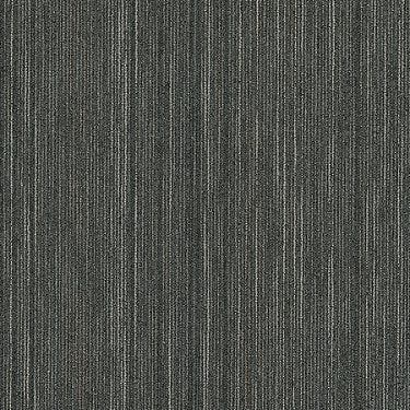 Praise Commercial Carpet by Philadelphia Commercial in the color Sharp. Sample of grays carpet pattern and texture.