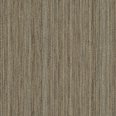 Praise Commercial Carpet by Philadelphia Commercial in the color Scholarly. Sample of browns carpet pattern and texture.