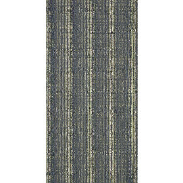 Successive Commercial Carpet by Philadelphia Commercial in the color Screw. Sample of grays carpet pattern and texture.