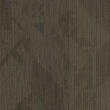 Declare Commercial Carpet by Philadelphia Commercial in the color Reported. Sample of browns carpet pattern and texture.