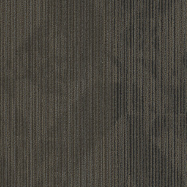 Declare Commercial Carpet by Philadelphia Commercial in the color Coverage. Sample of browns carpet pattern and texture.