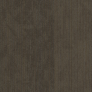 Disclose Commercial Carpet by Philadelphia Commercial in the color Reported. Sample of browns carpet pattern and texture.