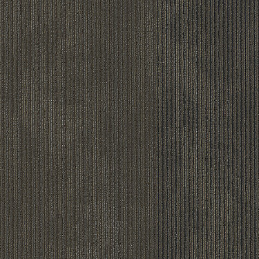 Disclose Commercial Carpet by Philadelphia Commercial in the color Coverage. Sample of browns carpet pattern and texture.