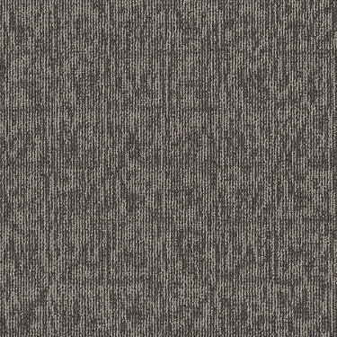 Elemental Commercial Carpet by Philadelphia Commercial in the color Organic. Sample of grays carpet pattern and texture.