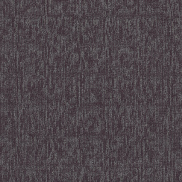 Elemental Commercial Carpet by Philadelphia Commercial in the color Principle. Sample of violets carpet pattern and texture.