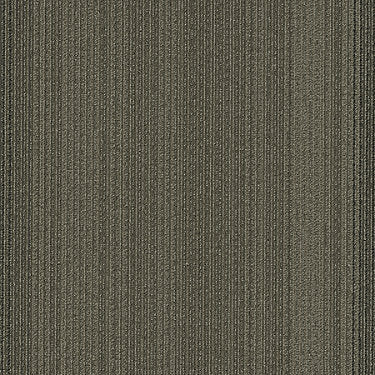 Practical Commercial Carpet by Philadelphia Commercial in the color Feasible. Sample of browns carpet pattern and texture.