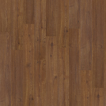 Mesa Trail Vinyl Commercial by Shaw Floors in the color Ruby Falls sample demonstrating pattern and color.
