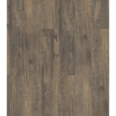 In The Park Sd Vinyl Commercial by Shaw Floors in the color Antico sample demonstrating pattern and color.