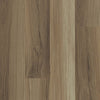 Transcend Vinyl Residential by Shaw Floors in the color Night Owl sample demonstrating pattern and color.