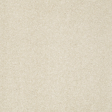 Take The Floor Texture I Residential Carpet by Shaw Floors in the color Toasted. Sample of beiges carpet pattern and texture.