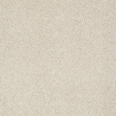 Take The Floor Texture I Residential Carpet by Shaw Floors in the color Patience. Sample of beiges carpet pattern and texture.