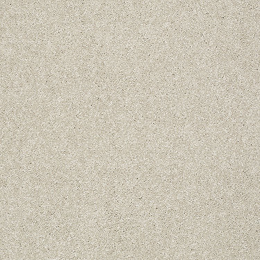 Take The Floor Texture I Residential Carpet by Shaw Floors in the color Neutral Ground. Sample of beiges carpet pattern and texture.