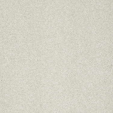 Take The Floor Texture I Residential Carpet by Shaw Floors in the color Alpaca. Sample of beiges carpet pattern and texture.