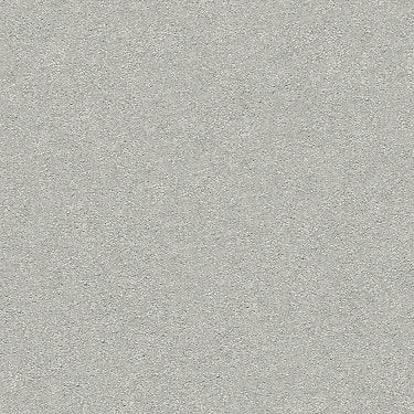 Take The Floor Texture I Residential Carpet by Shaw Floors in the color Gray Owl. Sample of grays carpet pattern and texture.