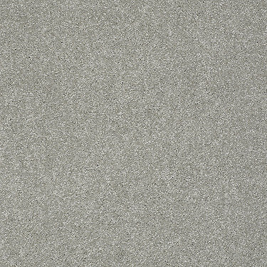 Take The Floor Texture I Residential Carpet by Shaw Floors in the color Flint. Sample of grays carpet pattern and texture.