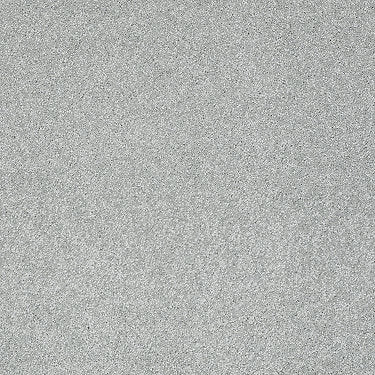 Take The Floor Texture I Residential Carpet by Shaw Floors in the color Pewter. Sample of grays carpet pattern and texture.