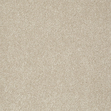 Take The Floor Texture I Residential Carpet by Shaw Floors in the color Hickory. Sample of browns carpet pattern and texture.