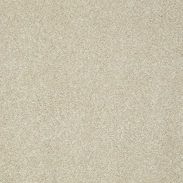 Take The Floor Texture I Residential Carpet by Shaw Floors in the color Suitable. Sample of browns carpet pattern and texture.