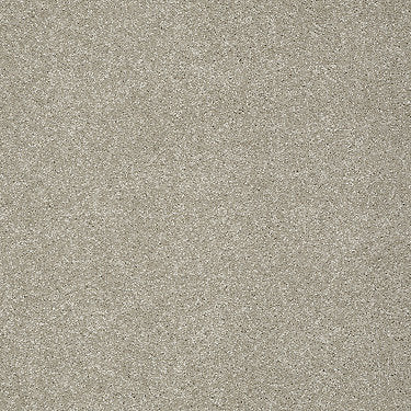 Take The Floor Texture I Residential Carpet by Shaw Floors in the color Threshold. Sample of browns carpet pattern and texture.