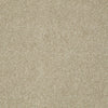 Take The Floor Texture I Residential Carpet by Shaw Floors in the color Hazelnut. Sample of browns carpet pattern and texture.