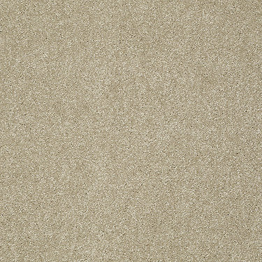 Take The Floor Texture I Residential Carpet by Shaw Floors in the color Hazelnut. Sample of browns carpet pattern and texture.