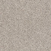 Take The Floor Accent Blue Residential Carpet by Shaw Floors in the color Riverbed. Sample of beiges carpet pattern and texture.