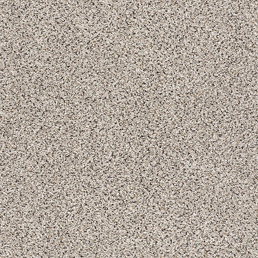 Take The Floor Accent Blue Residential Carpet by Shaw Floors in the color Riverbed. Sample of beiges carpet pattern and texture.