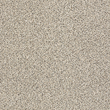 Take The Floor Accent Blue Residential Carpet by Shaw Floors in the color Luna. Sample of beiges carpet pattern and texture.