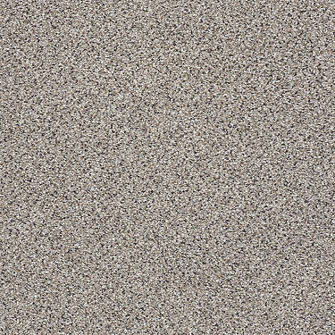 Take The Floor Accent Blue Residential Carpet by Shaw Floors in the color Cold Springs. Sample of grays carpet pattern and texture.