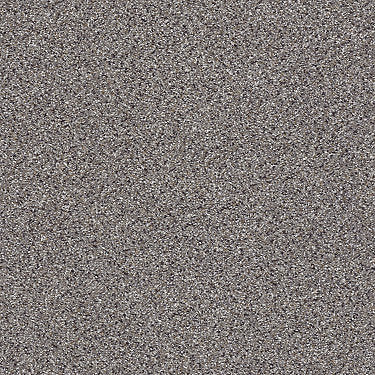 Take The Floor Accent Blue Residential Carpet by Shaw Floors in the color Soapstone. Sample of grays carpet pattern and texture.