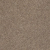 Take The Floor Accent Blue Residential Carpet by Shaw Floors in the color Baltic Brown. Sample of browns carpet pattern and texture.