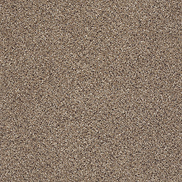 Take The Floor Accent Blue Residential Carpet by Shaw Floors in the color Baltic Brown. Sample of browns carpet pattern and texture.