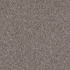 Take The Floor Accent Blue Residential Carpet by Shaw Floors in the color Storm. Sample of browns carpet pattern and texture.