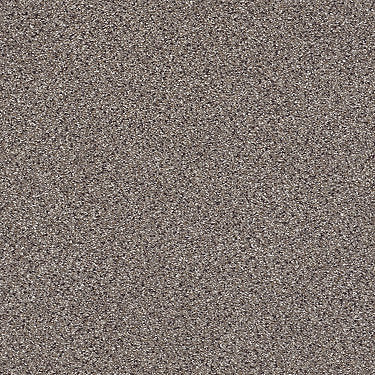 Take The Floor Accent Blue Residential Carpet by Shaw Floors in the color Storm. Sample of browns carpet pattern and texture.