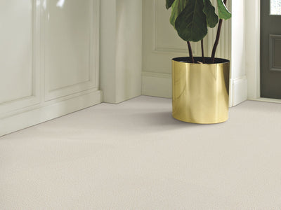 Aerial Arts Residential Carpet by Shaw Floors in the color Haze. Image of grays carpet in a room.