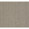 Aerial Arts Residential Carpet by Shaw Floors in the color Artisan Taupe. Sample of browns carpet pattern and texture.