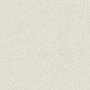 Aerial View Residential Carpet by Shaw Floors in the color Cotton. Sample of beiges carpet pattern and texture.