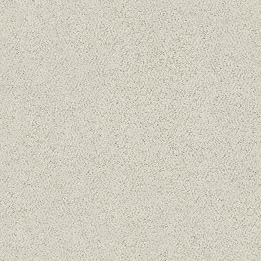 Aerial View Residential Carpet by Shaw Floors in the color Soft Linen. Sample of beiges carpet pattern and texture.