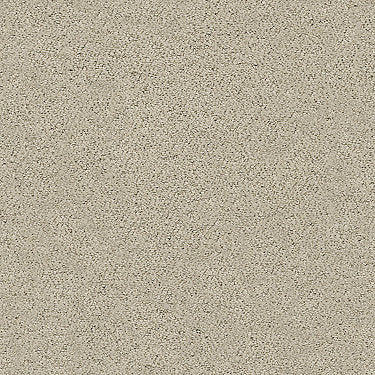 Aerial View Residential Carpet by Shaw Floors in the color Tiramisu. Sample of beiges carpet pattern and texture.