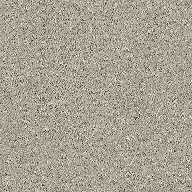 Aerial View Residential Carpet by Shaw Floors in the color Natural Stone. Sample of beiges carpet pattern and texture.