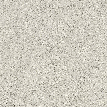 Aerial View Residential Carpet by Shaw Floors in the color Frost. Sample of grays carpet pattern and texture.