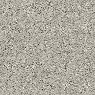 Aerial View Residential Carpet by Shaw Floors in the color Powder Grey. Sample of grays carpet pattern and texture.